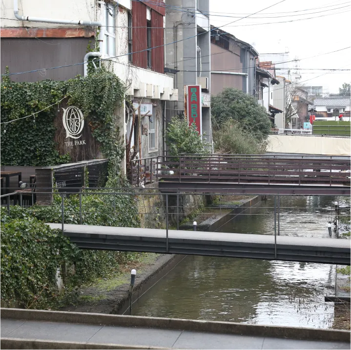 加茂川沿いの風景